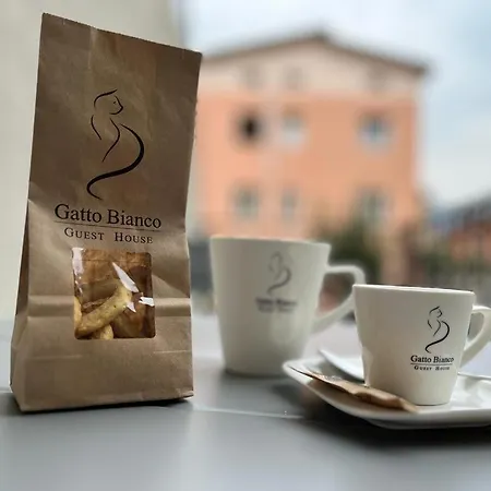 Gatto Bianco Oda ve Kahvaltı *