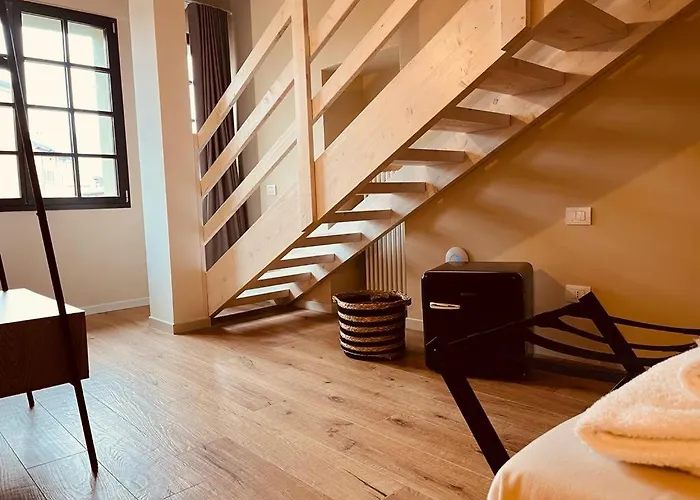 Gatto Bianco 3*